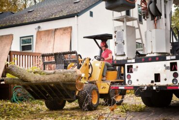 Tree Removal Company