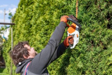 local tree trimming servivces