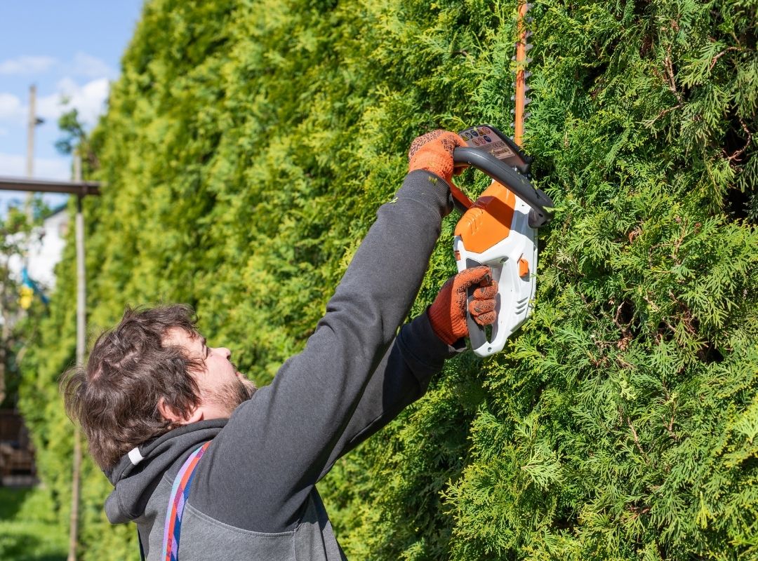 local tree trimming servivces