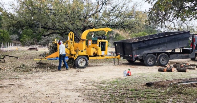 tree removal san antonio cost