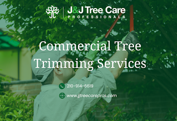 Commercial Tree Service
