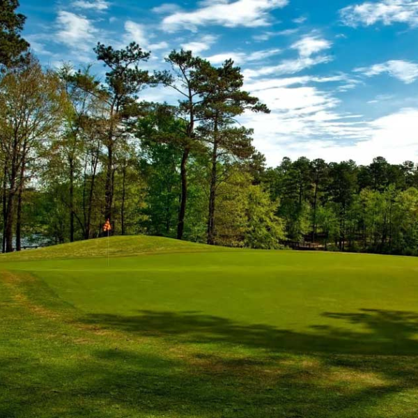 Image showing a country club with beautifully trimmed trees.