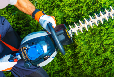 Image showing a tree trimming tool, related to the query, "What is a tree trimmer called?"